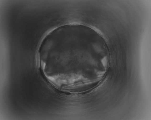 X0000100371223200806271437