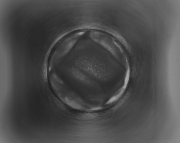 X0000100371224200806271437