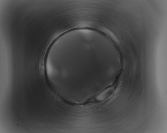 X0000100371226200806271437