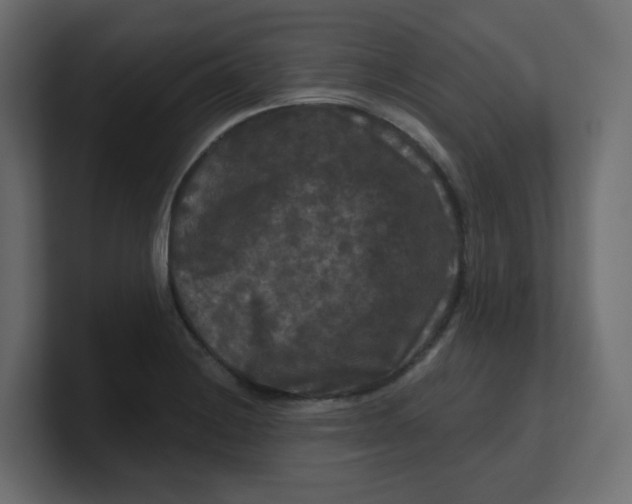 X0000100371228200806271437