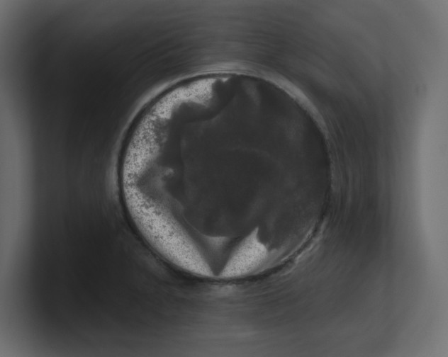 X0000100371230200806271437