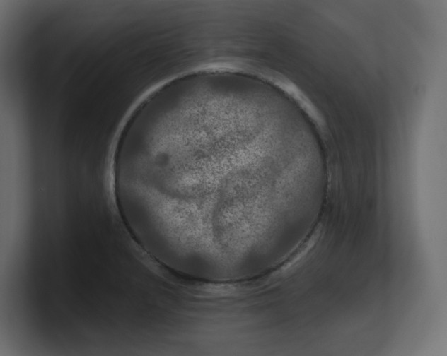 X0000100371232200806271437