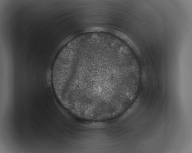 X0000100371233200806271437