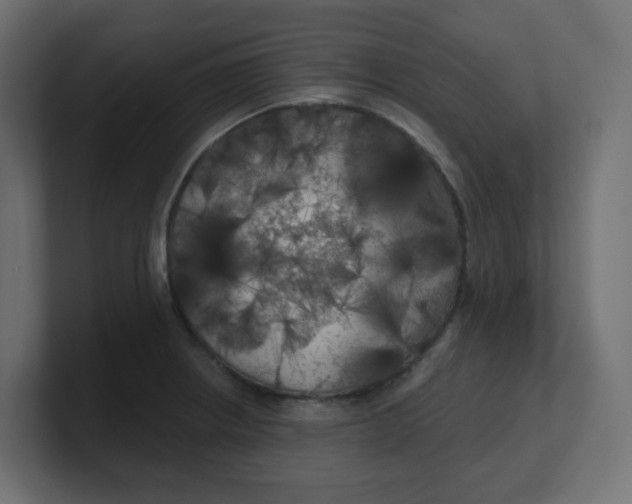 X0000100371234200806271437