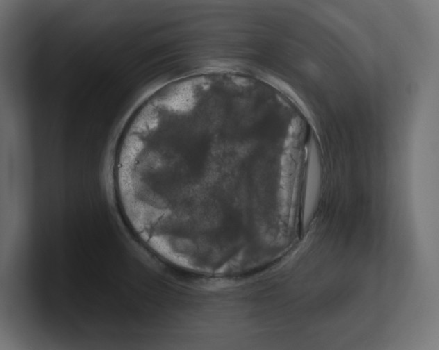 X0000100371235200806271437