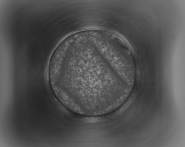 X0000100371236200806271437