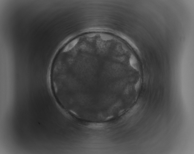 X0000100371237200806271437