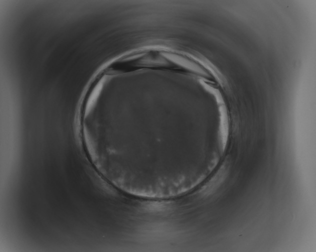 X0000100371240200806271437