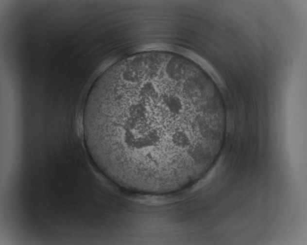 X0000100371241200806271437