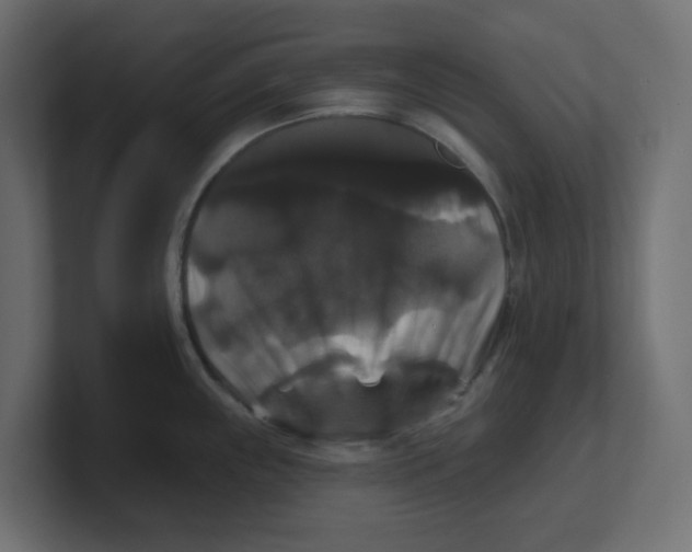 X0000100371243200806271438