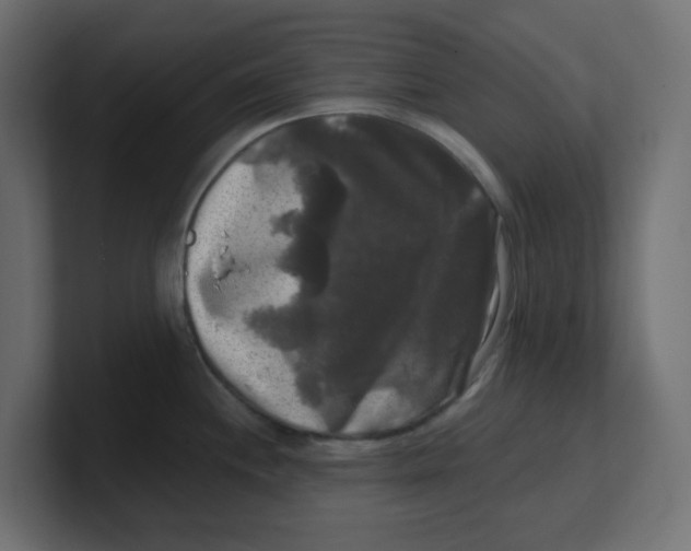 X0000100371244200806271438