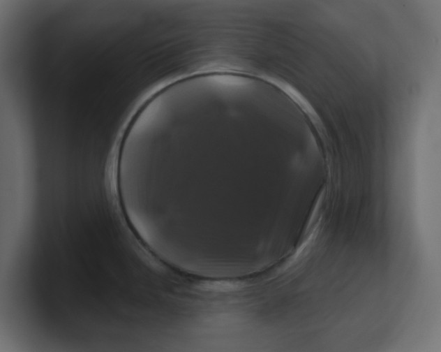 X0000100371246200806271438