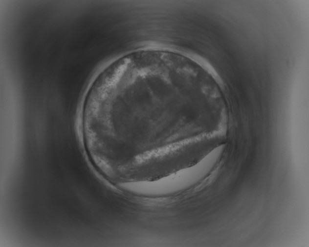 X0000100371247200806271438