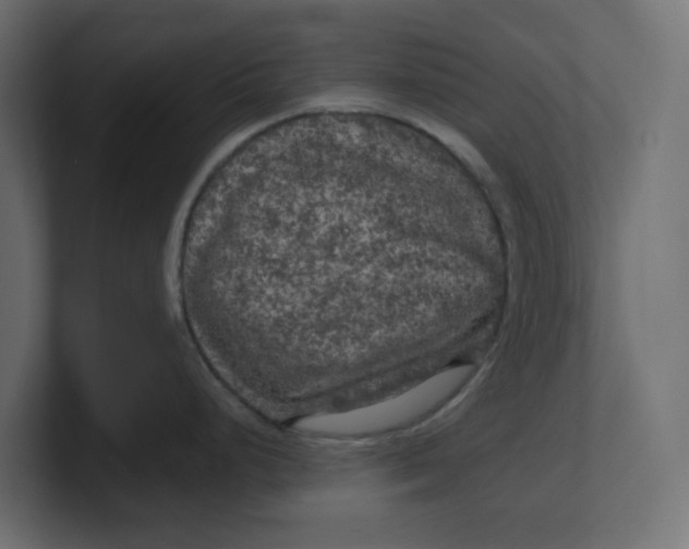 X0000100371248200806271438