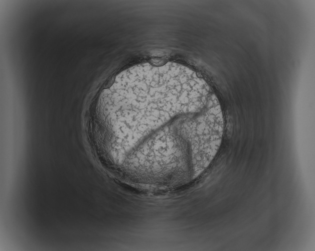 X0000100371249200806271437