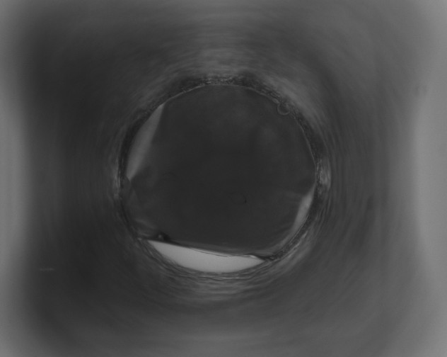 X0000100371252200806271437