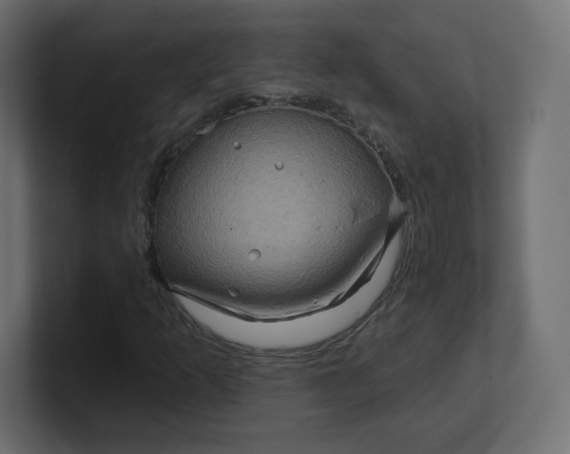 X0000100371253200806271437