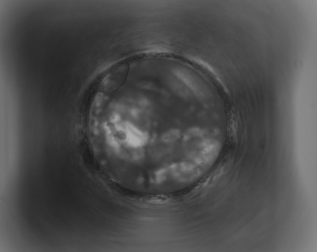 X0000100371255200806271437