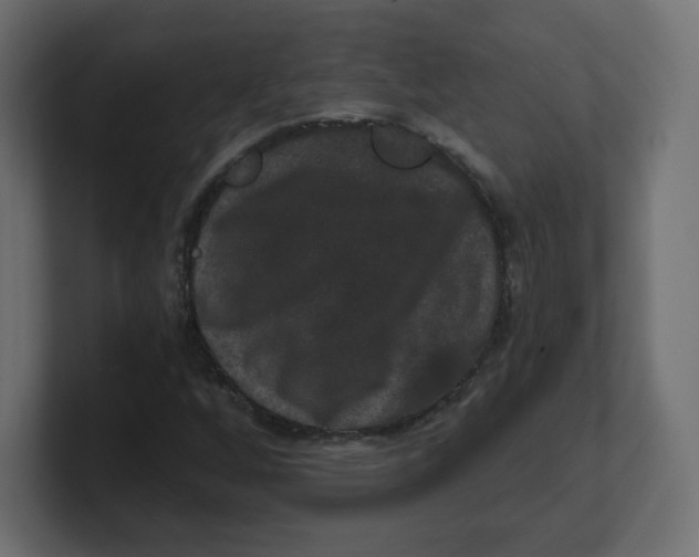 X0000100371256200806271437