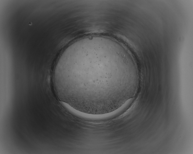 X0000100371257200806271437