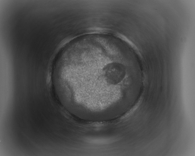 X0000100371259200806271437