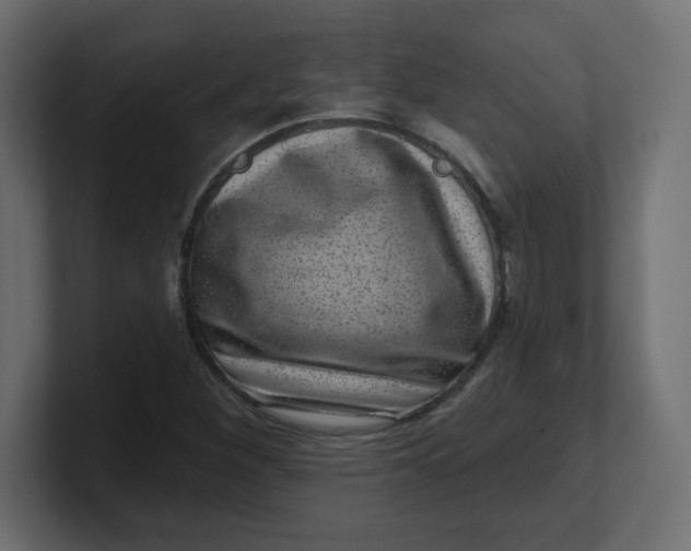 X0000100371260200806271437