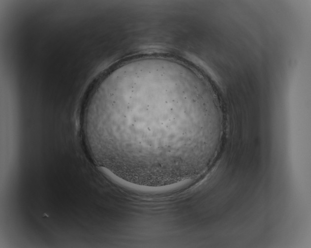 X0000100371261200806271437