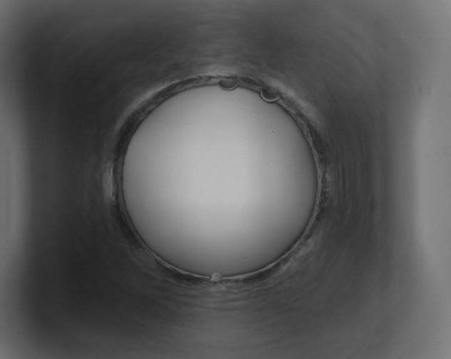 X0000100371262200806271437