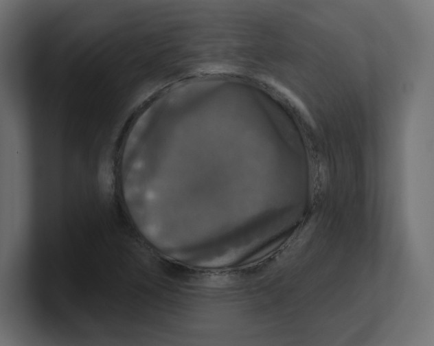 X0000100371266200806271437