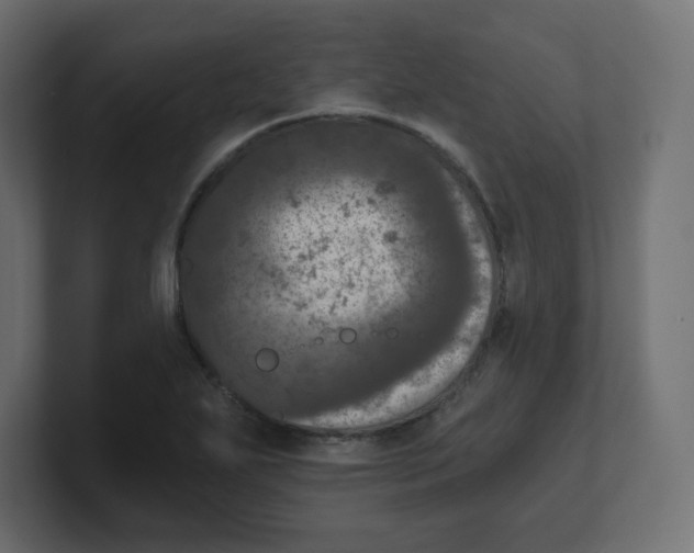 X0000100371271200806271437