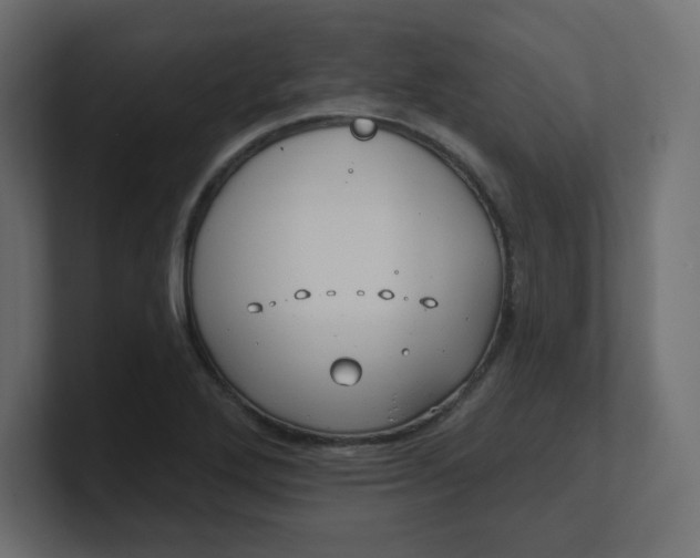 X0000100371272200806271437