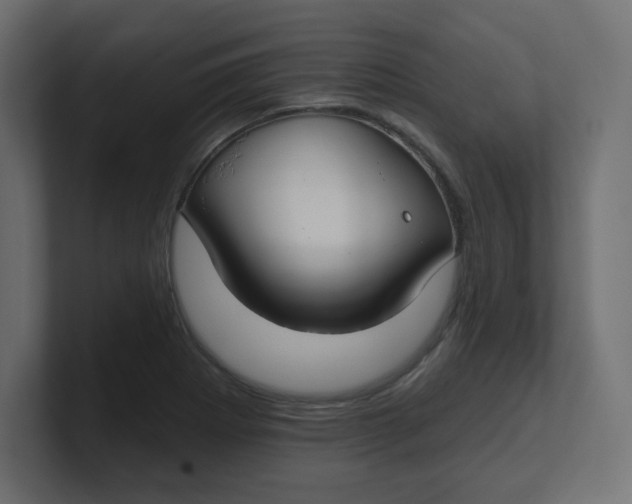 X0000100371273200806271437