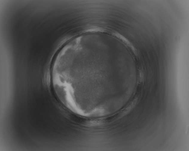 X0000100371274200806271437