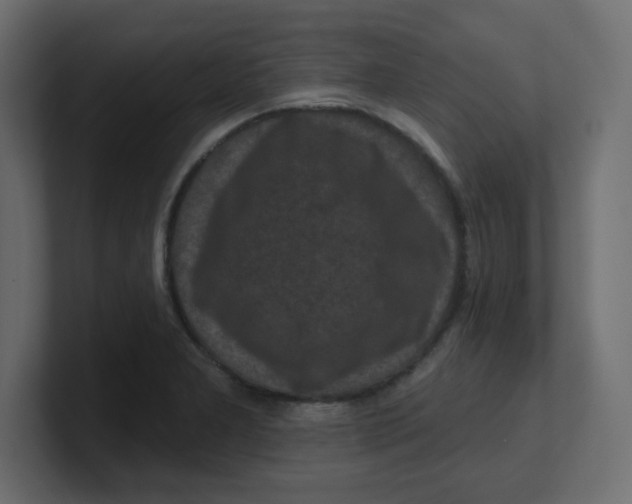 X0000100371277200806271437