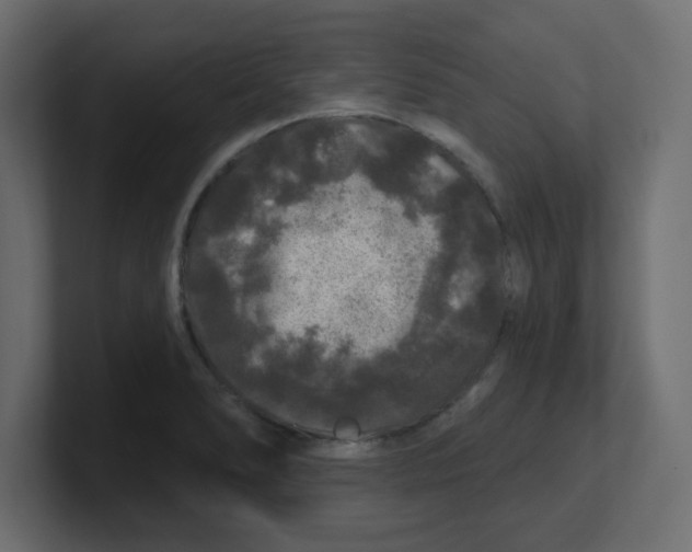 X0000100371278200806271437