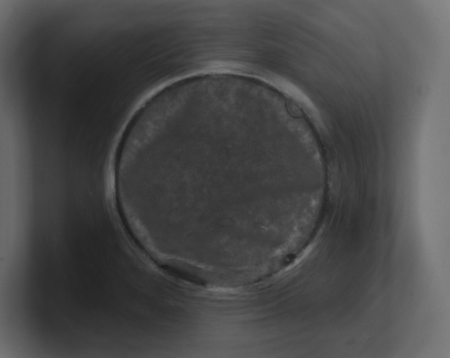 X0000100371280200806271437