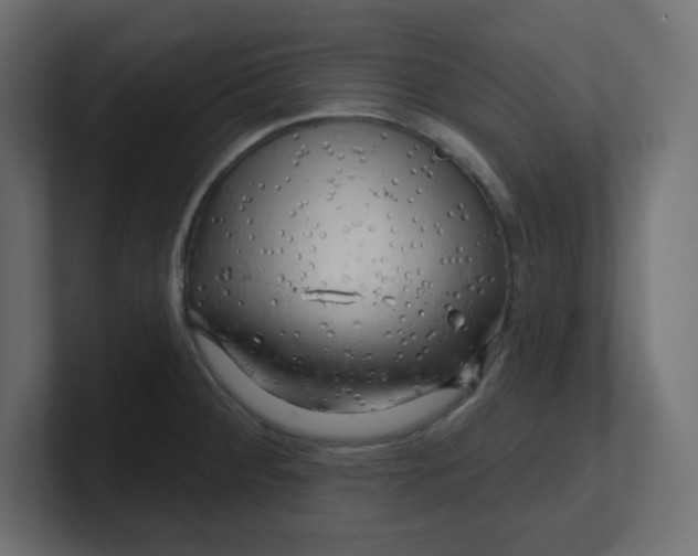 X0000100371284200806271437