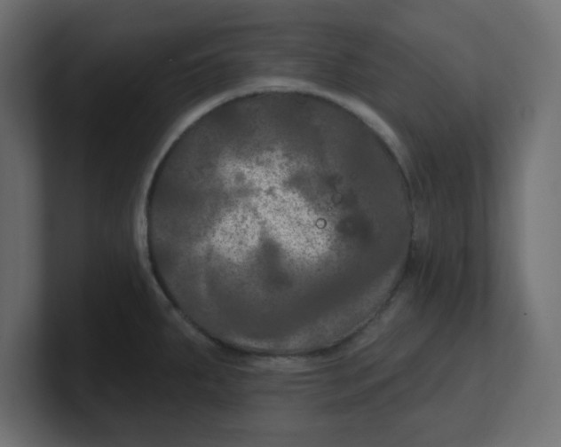 X0000100371287200806271436