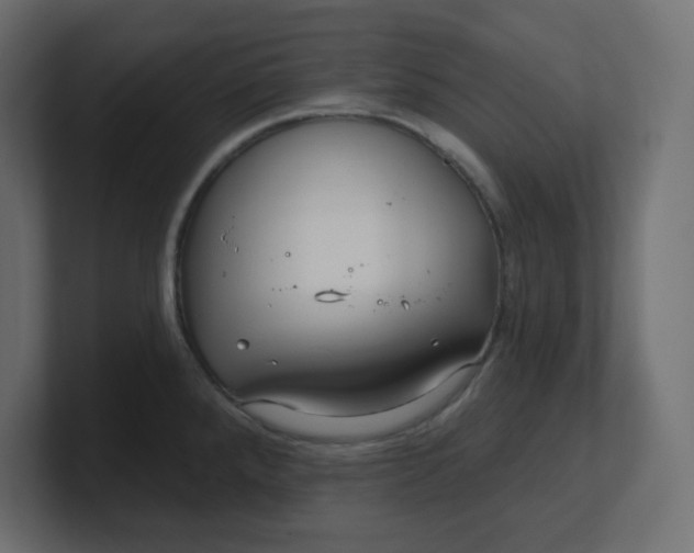 X0000100371288200806271436