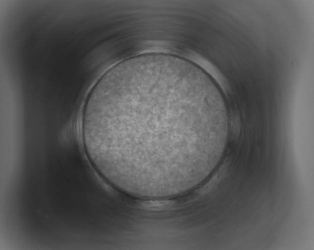 X0000100371290200806271436