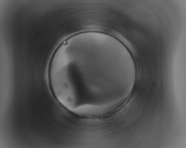 X0000100371291200806271436