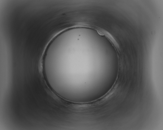 X0000100371292200806271436