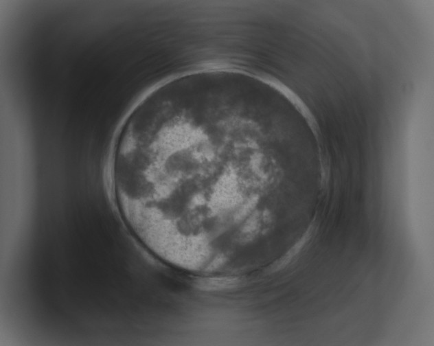 X0000100371294200806271436