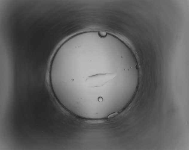 X0000100371296200806271436