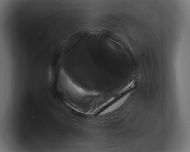 X0000100371298200806271436