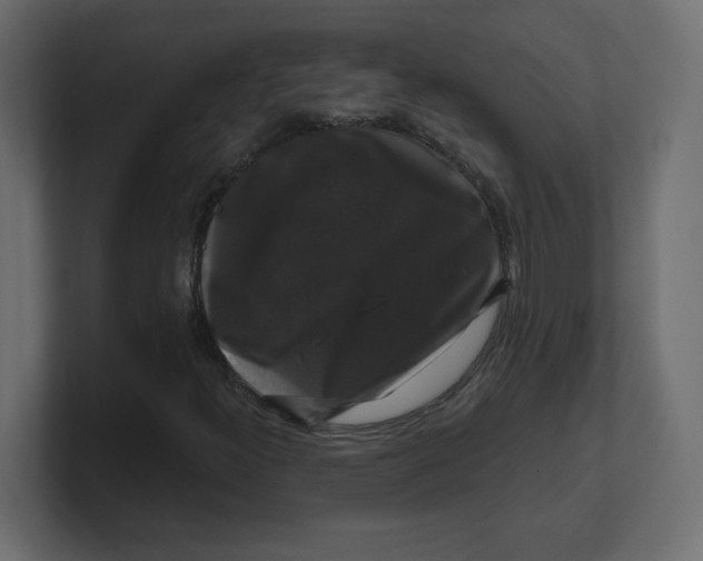 X0000100371300200806271436