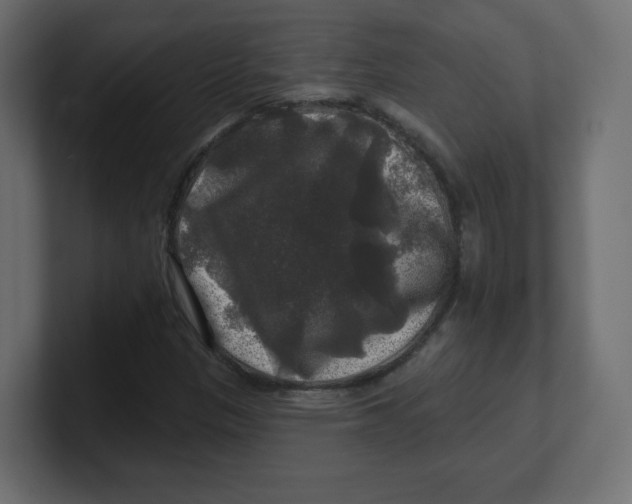 X0000100371305200806271436