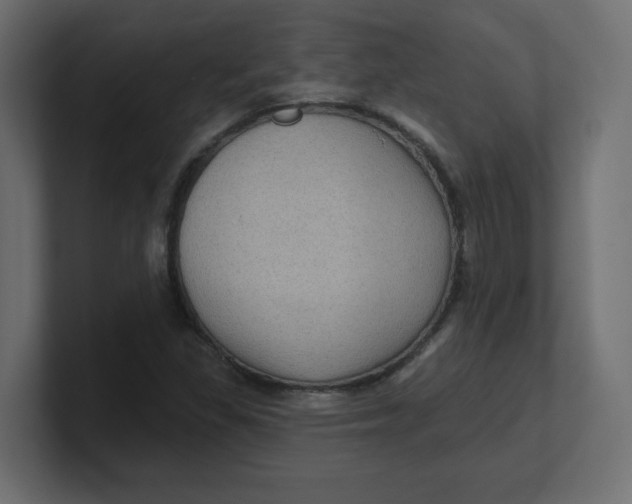 X0000100371309200806271436