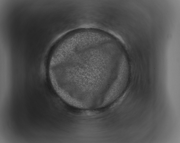 X0000100371311200806271436