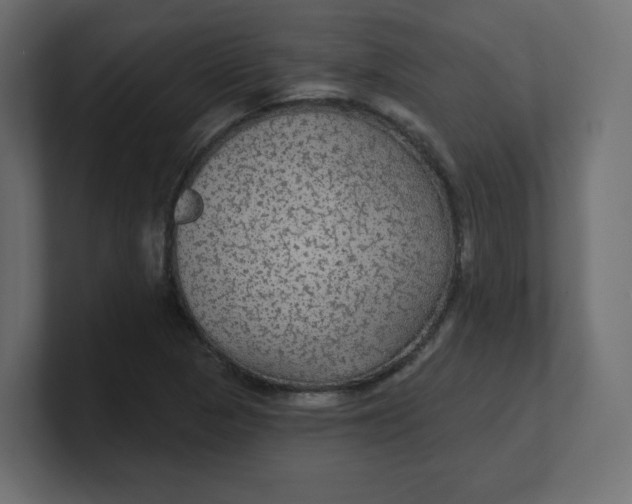 X0000100371313200806271436